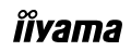 iiyama